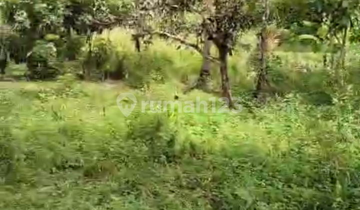 Di Jual Lahan Murah SHM di Warungkiara Sukabumi