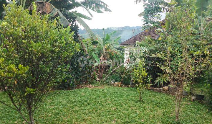 Di Jual Rumah Kebun Di Rainbow Gunung Geulis 1