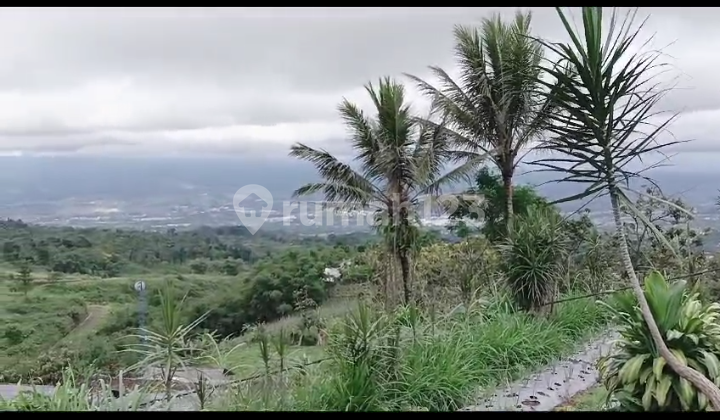 For Sale Fertile Garden Land Owned Property in Cicurug Sukabumi For Sale Fertile Garden Land Owned Property in Cicurug Sukabumi