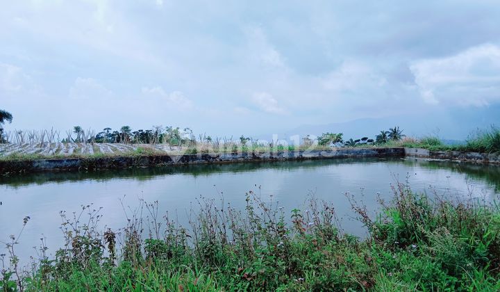 Di Jual Tanah Kebun Sayuran dengan View Keren di Kalapanunggal Sukabumi Di Jual Tanah Kebun Sayuran dengan View Keren di Kalapanunggal Sukabumi