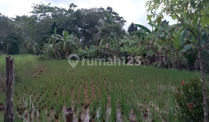 Di Jual Tanah Kebun dan Sawah SHM Berikut Villa di Caringin Bogor Di Jual Tanah Kebun dan Sawah SHM Berikut Villa di Caringin Bogor
