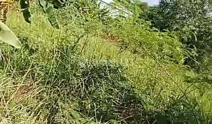 di Jual Lahan Datar Peruntukan Gudang pabrik di Gunung Putri Bogor 2