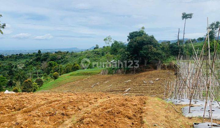 di Jual Lahan Kebun View Cakep di Pancawati Caringin 2