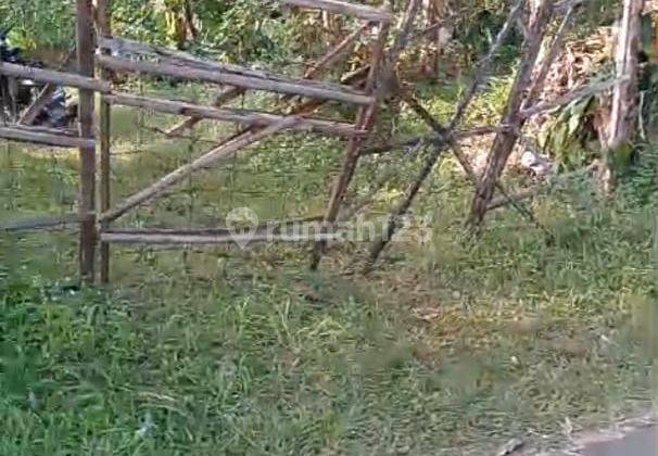 di jual lahan / tanah kebun di cimande caringin 2