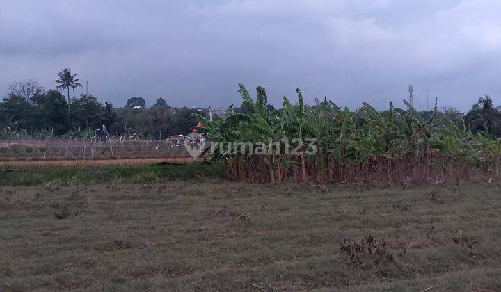 di Jual Lahan Perkebunan Murah di Tapos Ciawi 2