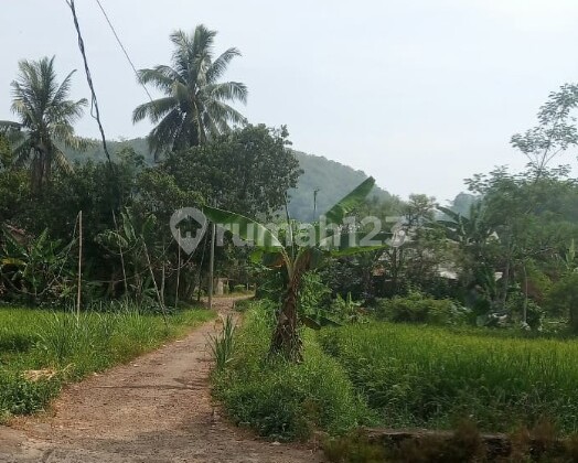 For Sale, Garden and Rice Field Land with Certificate of Ownership, Car Access in Cisaat, Sukabumi