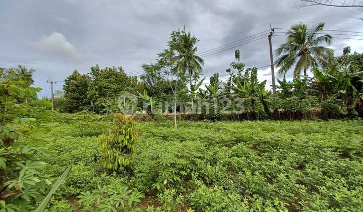 For Sale, Cheap Garden Land with SHM in Cigudeg, West Bogor