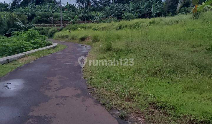 Di Jual Lahan Kebun Subur Bisa Bangun Villa Di Citapen Ciawi 1