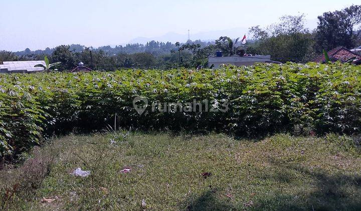 di Jual Tanah Kebun Subur di Tapos Cibedug Kecamatan Ciawi 2