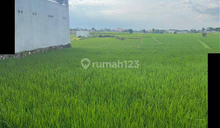 Tanah Kavling 300 m² SHM di Jl Dr Sutomo, Tegal Asri Karang Anyar 1