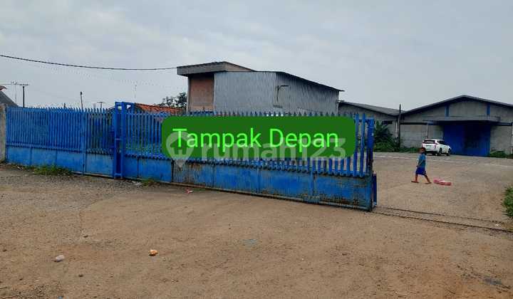 For Sale / For Rent