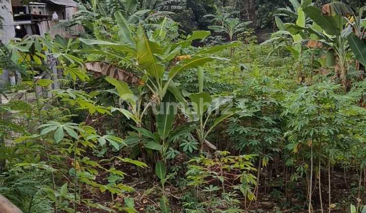 Harga BU, Jual di bawah PPJB, Tanah di Cipaku, Bogor Selatan