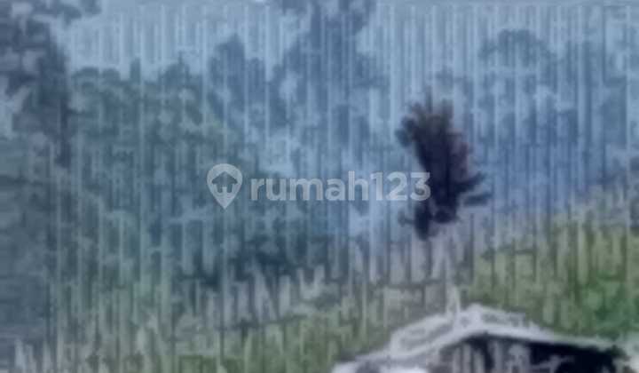 Jual Tanah Murah Nice View di Lembang Bandung Jual Tanah Murah Nice View di Lembang Bandung