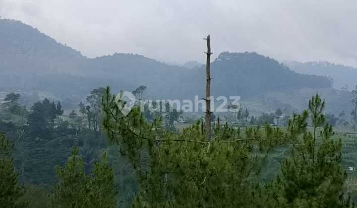 Jual Tanah Luas Nice View Dekat Tangkuban Perahu Lembang Bandung