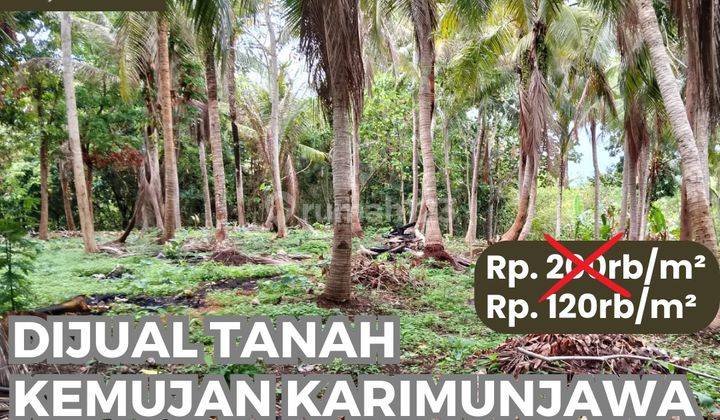 Dijual Tanah Kemujan Karimunjawa Jepara Cocok Untuk Investasi 1