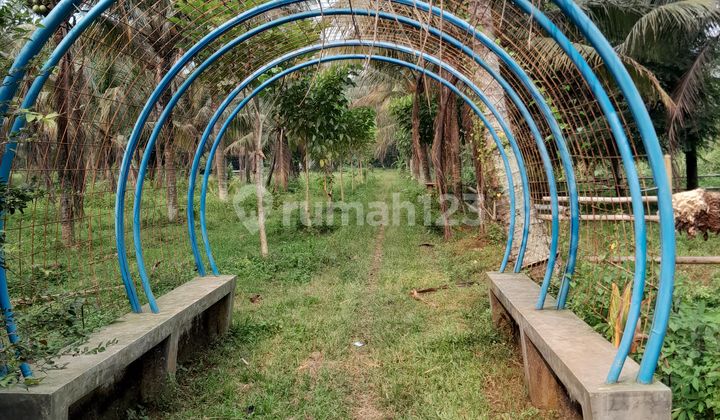 Tanah Beserta Bangunan Cocok Untuk Perumahan