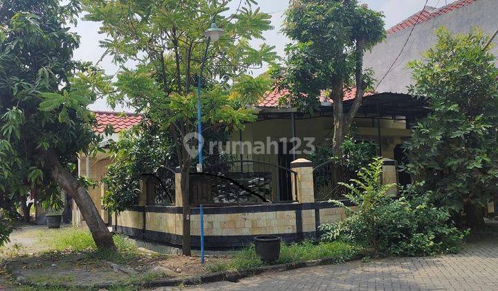 Dijual Rumah Murah 800 Jutaan di Nol Raya Lilium Krian Sidoarjo 1