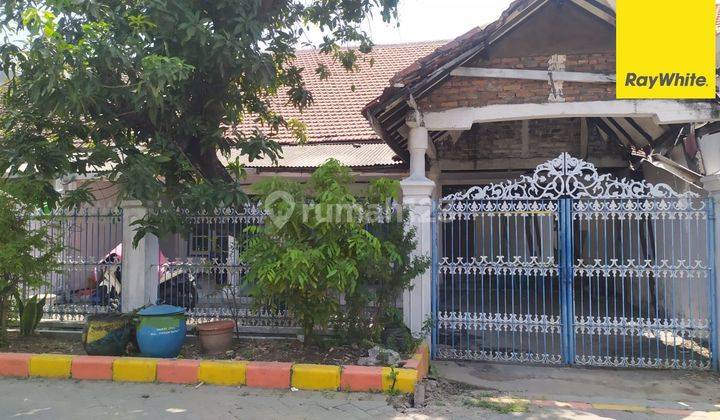 Dijual Rumah Strategis di Jl Ikan Cumi Cumi Perak Surabaya 1