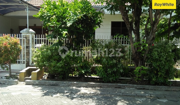 For Sale Freehold House on Jl Mojoarum Surabaya 1