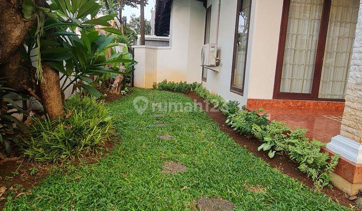 Rumah Asri Dengan Kolam Renang Di Cipete Selatan 2