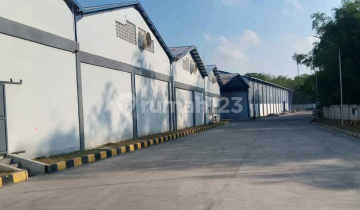 Warehouse / Factory in Industrial Red Zone, Accessible by 40-Foot Container Trucks & Trailer Trucks, Near Toll Gate (Epoxy Coated Floor) Warehouse / Factory in Industrial Red Zone, Accessible by 40-Foot Container Trucks & Trailer Trucks, Near Toll Gate (Epoxy Coated Floor)