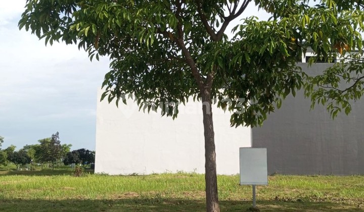 15X30 and 19.9X30 Beach Hill Villa Boulevard Pik 2 Adjacent Lots