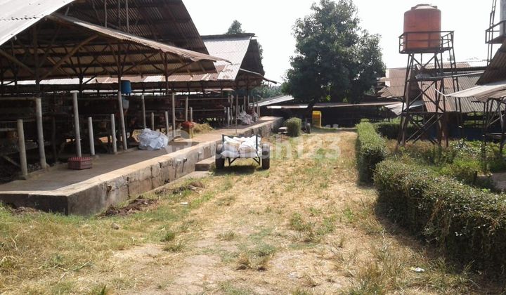 For Sale: Commercial Plot in Bekasi, Former Chicken Farm Area