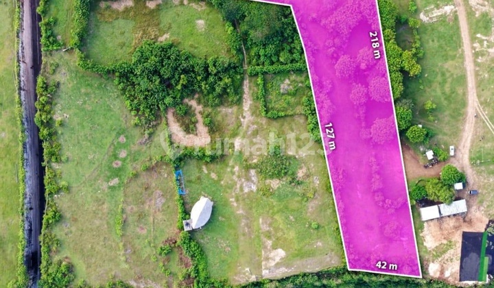 FREEHOLD LAND, HIGHLY STRATEGIC, CLIFF FRONT, BEACHSIDE at PANDAWA, BADUNG, BALI