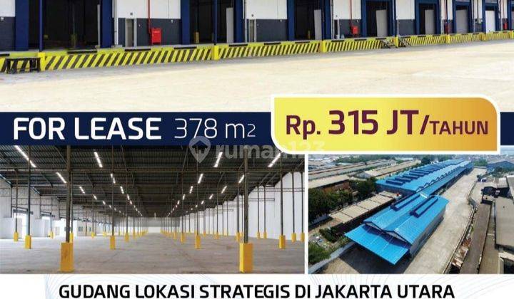 Disewakan Gudang 378 m Bagus di Kapuk Muara 1