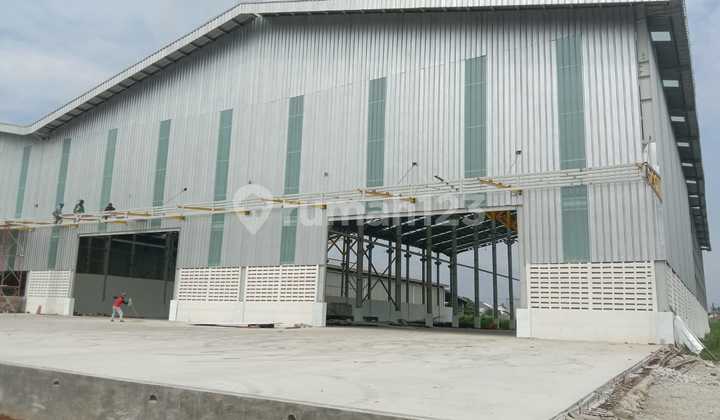 For Rent New Warehouse Area 1,000 m², Jl. Raya Kutabumi, Kec. Periuk, Kab. Tangerang