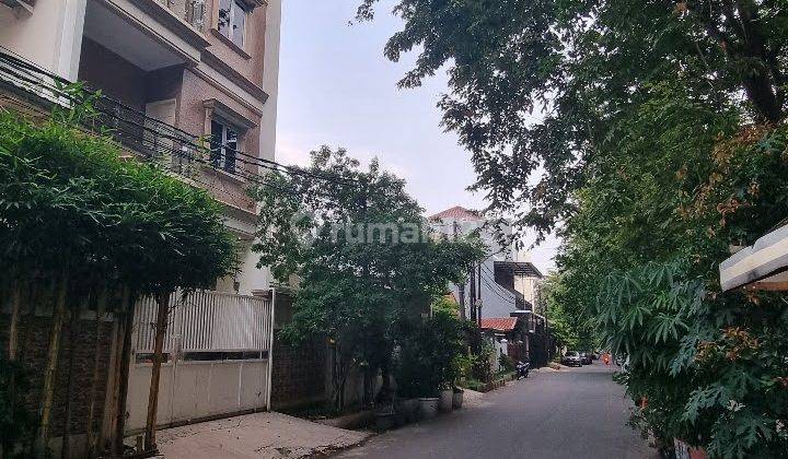 Rumah 3,5 Lantai Bagus Semi Furnished Di Sunter, Jakarta Utara 2