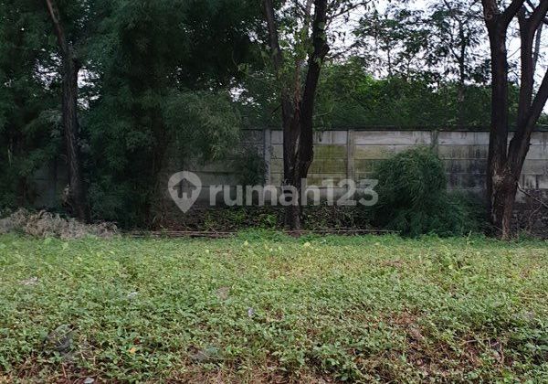 Dijual Murah Kavling The Bukit Marina Ancol  di Bawah NJOP  Jakarta Utara