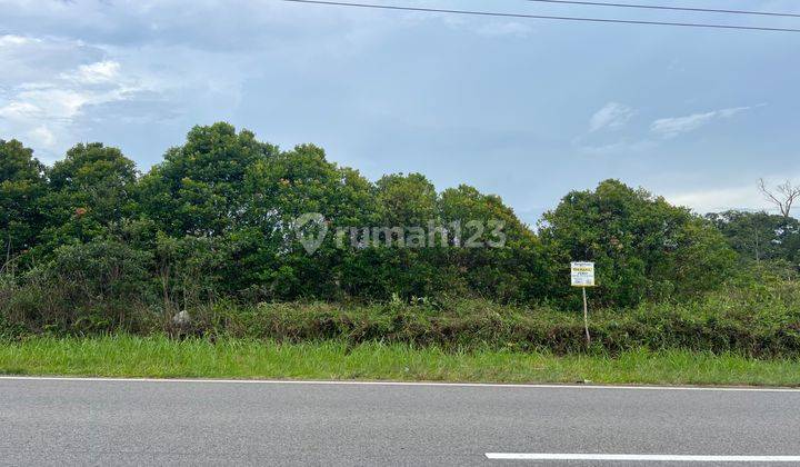 Tanah Murah Pinggir Jalan Besar Cocok Untuk Perumahan, Tempat Wisata, Tempat Usaha Di Kecamatan Sijuk Belitung  2