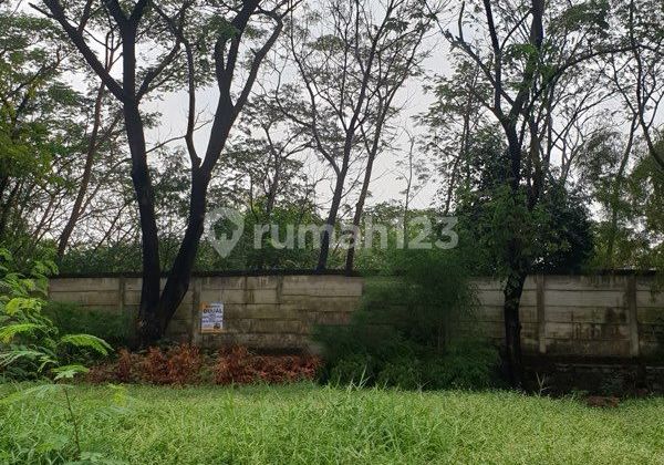 Dijual Murah Kavling The Bukit Marina Ancol  di Bawah NJOP  Jakarta Utara