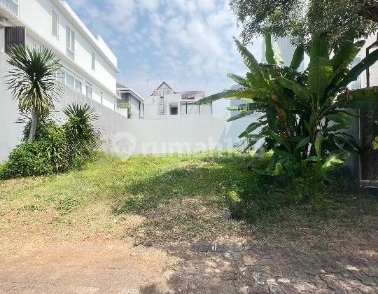 Dijual Cepat Kavling Siap Bangun Di Perumahan Pantai Mutiara Pluit Jakarta Utara Dijual Cepat Kavling Siap Bangun Di Perumahan Pantai Mutiara Pluit Jakarta Utara