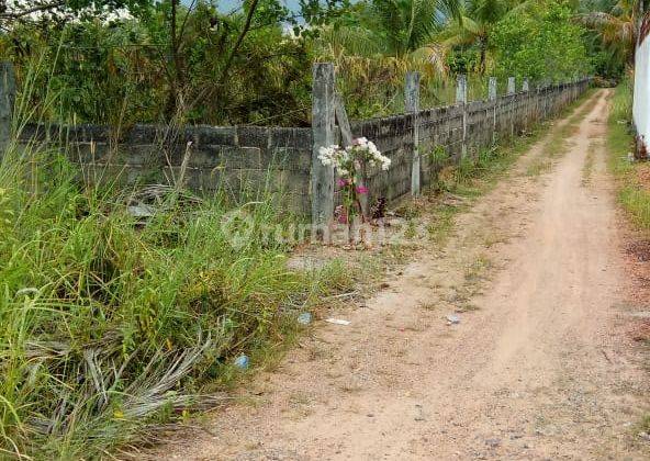 Dijual Cepat Tanah Lokasi Sangat Strategis Dekat Pantai Trikora, Kantor Dinas, Jalan Utama Provinsi Di Bintan Timur Riau Cocok Untuk Pom Bensin, Tempat Wisata Dan Lain lain 2