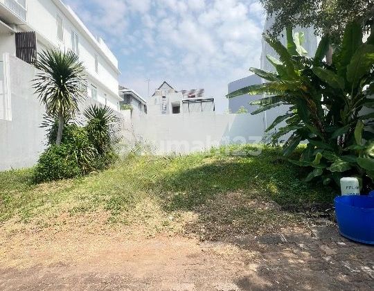 Dijual Cepat Kavling Di Perumahan Pantai Mutiara Pluit Jakarta Utara Dijual Cepat Kavling Di Perumahan Pantai Mutiara Pluit Jakarta Utara