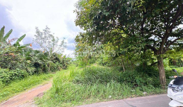 Tanah Cocok Untuk Cluster Perumahan Dekat Gua Maria Bukit Kanada Rangkasbitung Tangerang 1