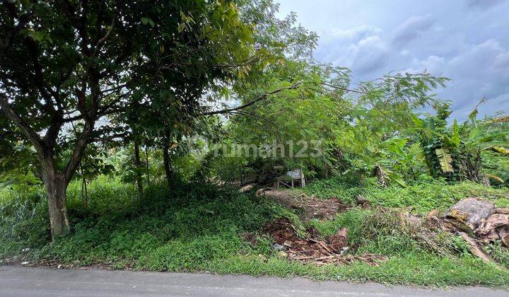 Tanah Cocok Untuk Cluster Perumahan Dekat Gua Maria Bukit Kanada Rangkasbitung Tangerang 2