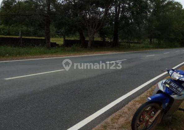 Dijual Cepat Tanah Lokasi Sangat Strategis Dekat Pantai Trikora, Kantor Dinas, Jalan Utama Provinsi Di Bintan Timur Riau Cocok Untuk Pom Bensin, Tempat Wisata Dan Lain lain 1