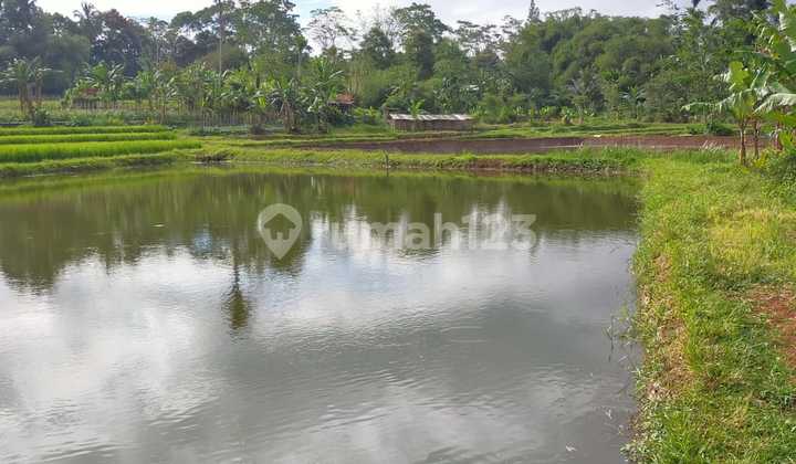 Dijual Murah Tanah di Caringin Sukabumi Jawa Barat