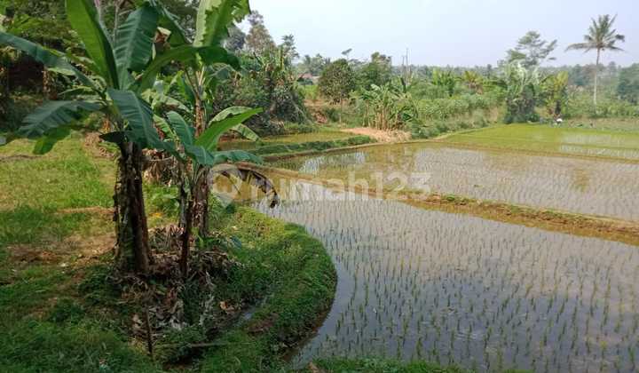 Dijual Murah Tanah di Caringin Sukabumi Jawa Barat