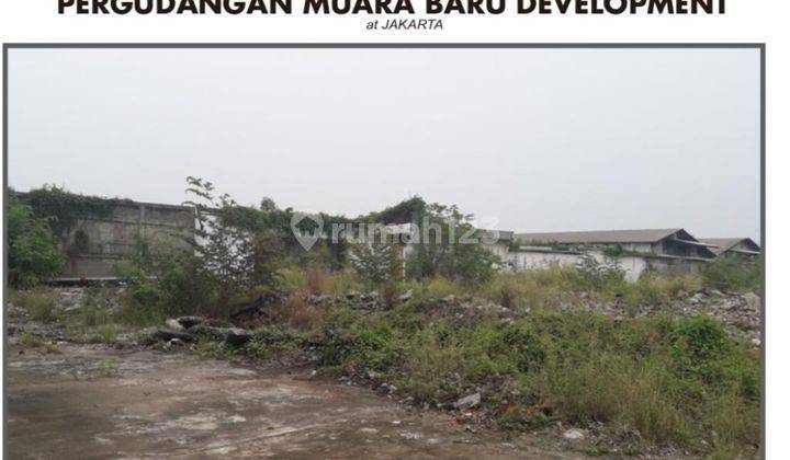 Jarang Ada Termurahhhh Dijual Cepat Tanah Di Jalan Marlina, Muara Baru Jakarta Utara 1