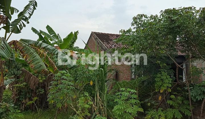 TANAH STRATEGIS DI PINGGIR JALAN DEKAT PERUMAHAN DAERAH PLESUNGAN KARANGANYAR TANAH STRATEGIS DI PINGGIR JALAN DEKAT PERUMAHAN DAERAH PLESUNGAN KARANGANYAR