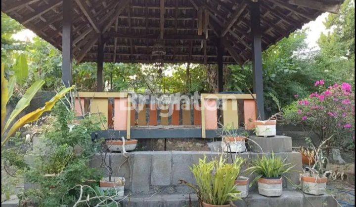 RUMAH DITENGAH KOTA LINGKUNGAN AMAN DAN NYAMAN DAERAH YOSODIPURO 2