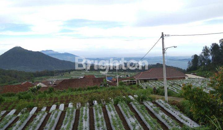 TANAH MURAH LOKASI DI PINGGIR JALAN DENGAN VIEW PEGUNUNGAN 2