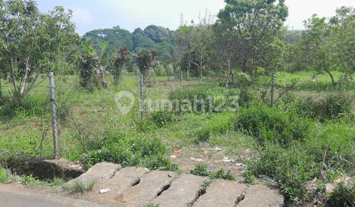 Termurah Kavling Strategis Jalan Sdh Aspal Di Ciawi Bogor Termurah Kavling Strategis Jalan Sdh Aspal Di Ciawi Bogor