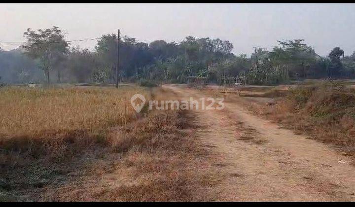 Kavling Mabes Dekat Kantor Bupati di Tigaraksa Tangerang 2