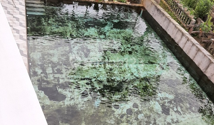 Cheap Villa Land Calculation Ready Koi Farm Fertile Land 2