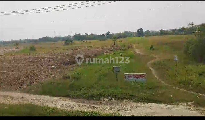 3Km dari Tol Ciujung Tanah Peruntukan Industri atau Pergudangan  1